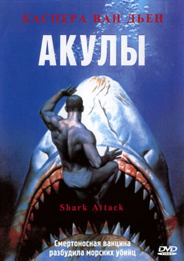 Акулы (1999)